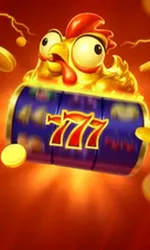 Chicken Coin